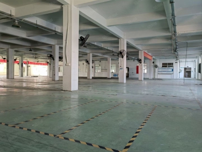 (出租) 江门市新会区睦洲镇新沙工业区独院16250平方标准厂房出租图3