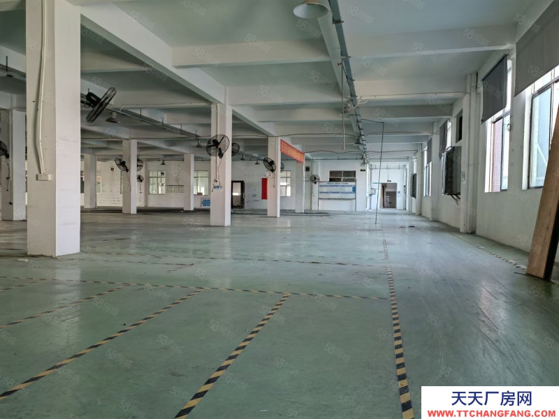 (出租) 江门市新会区睦洲镇新沙工业区独院16250平方标准厂房出租