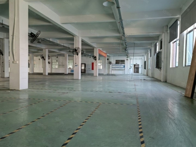 (出租) 江门市新会区睦洲镇新沙工业区独院16250平方标准厂房出租图4