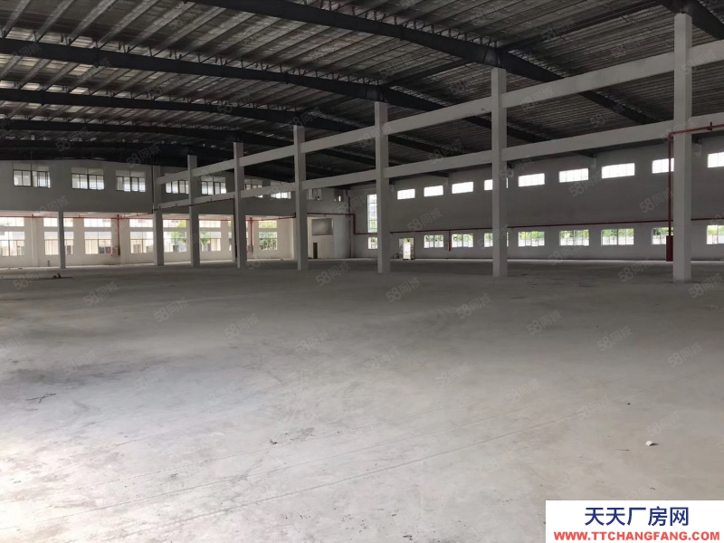 (出租) 江门江海区 全新单一层8000方 可分 租