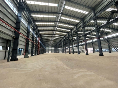 (出租) 江门台山独院重工业厂房15米层高200米长5000平方出租图2