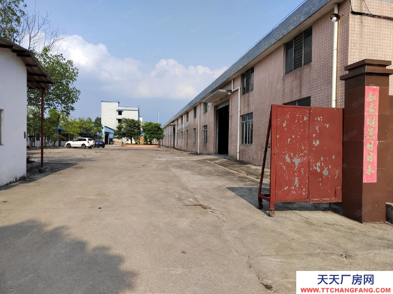 (出租) 江门台山水步镇独院单一层厂房仓库6000，空地3000出租