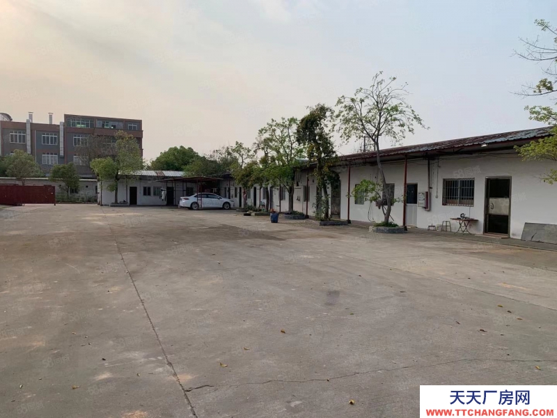 (出租) 江门台山水步镇独院单一层厂房仓库6000，空地3000出租