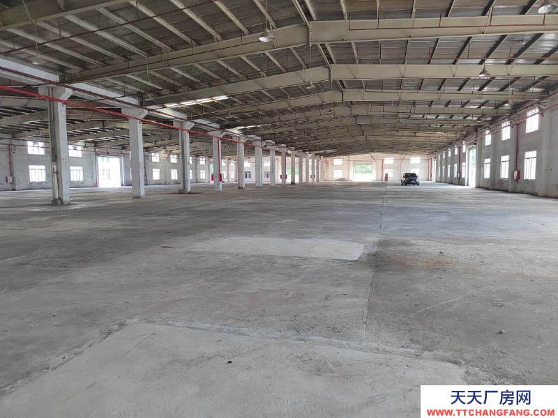 (出租) 江门台山水步镇独院单一层厂房仓库6000，空地3000出租