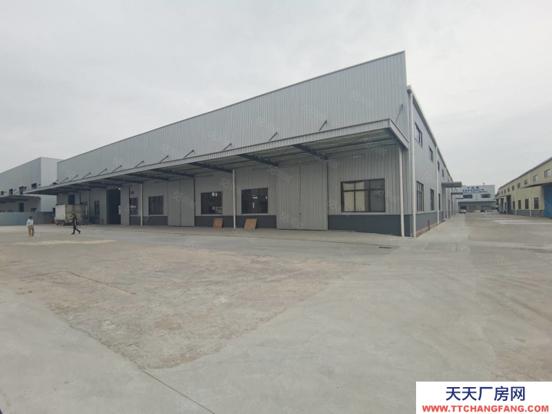 (出租) 原房东出租！江门台山新建独院钢构厂房出租25000平可分租