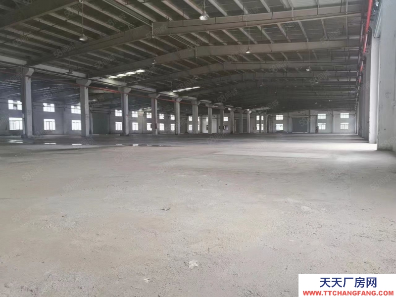 (出租) 江门水步7000方单一层砖墙到顶空地大厂房出租