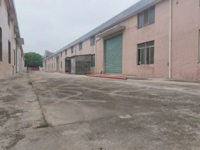 (出租) 江门水步7000方单一层砖墙到顶空地大厂房出租图1