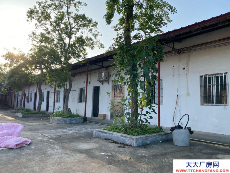 (出租) 江门台山独院砖墙单一层厂房出租空地3000平方配套宿舍办公室