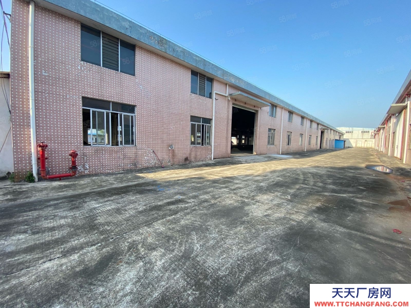 (出租) 江门台山独院砖墙单一层厂房出租空地3000平方配套宿舍办公室