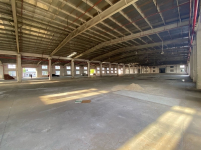 (出租) 台山市标准钢结构新建单一层图2