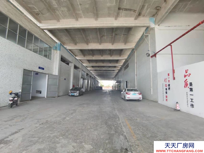 (出租) 江门开平水口独院单层厂房出租20000平空地大可分租免租期长