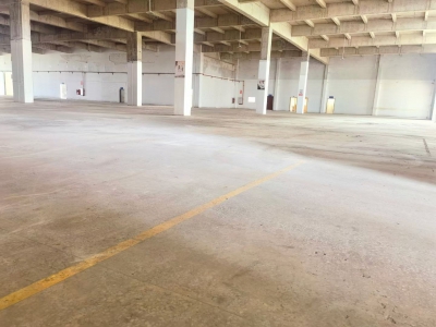 (出租) 江门开平水口独院单层厂房出租20000平空地大可分租免租期长图1