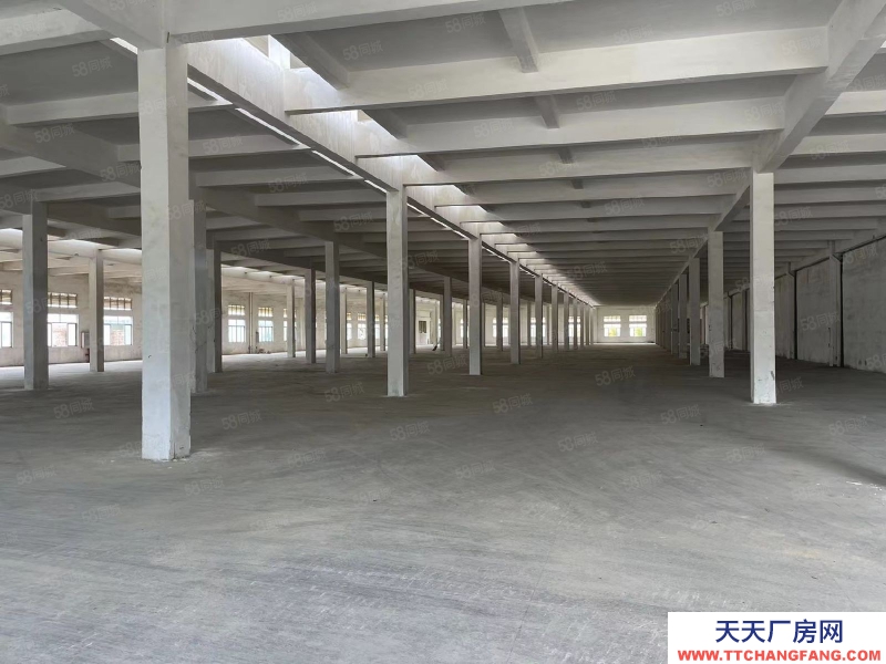 (出租) 江门开平三类工业用地10元厂房，条件宽松，年限长