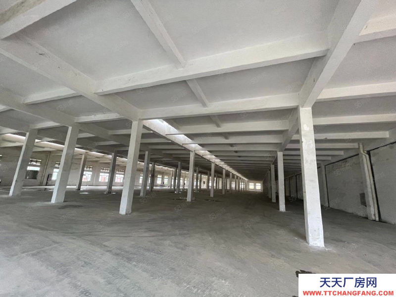 (出租) 江门开平塔山开元工业区三类工业有排污指标厂房仓库16000方出租