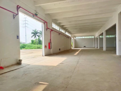 (出租) 江门开平水口红本厂房仓库出租500起租（水泥顶）图2