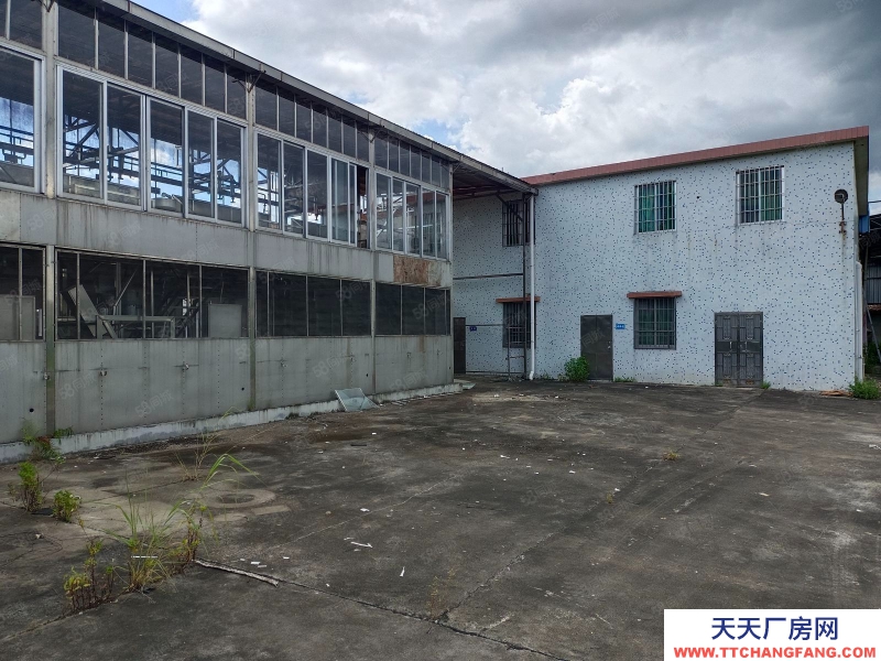 (出租) 江门低价5元方，独门独院，鹤城共和交界旧厂房连水泥地，按需求分租