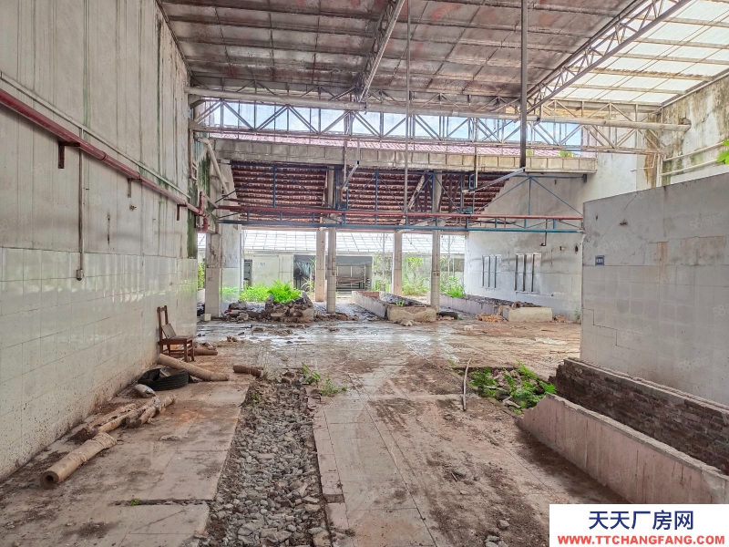 (出租) 江门低价5元方，独门独院，鹤城共和交界旧厂房连水泥地，按需求分租