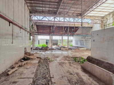 (出租) 江门低价5元方，独门独院，鹤城共和交界旧厂房连水泥地，按需求分租图2