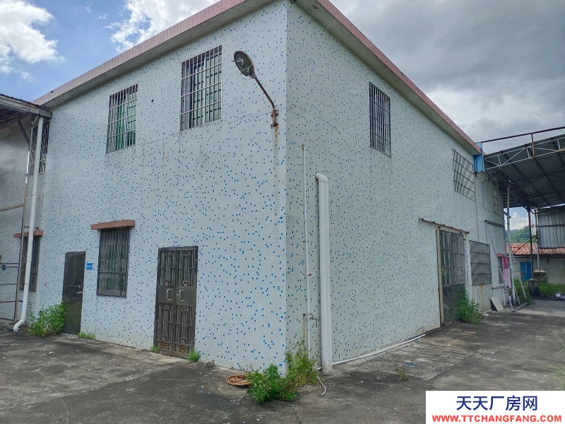 (出租) 江门低价5元方，独门独院，鹤城共和交界旧厂房连水泥地，按需求分租