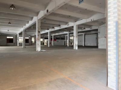 (出租) 江门沙坪独院标准两层厂房低价出租剩余一楼2830方图1