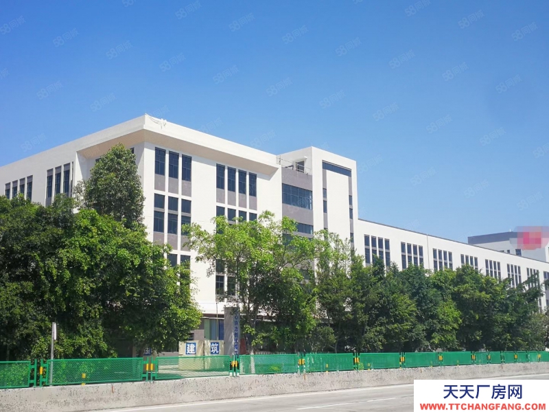 (出租) 江门鹤山市鹤城镇325国道边独院花园式45000平方厂房出租