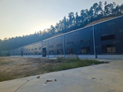 (出租) 江门鹤山独院全新厂房出租！！图1