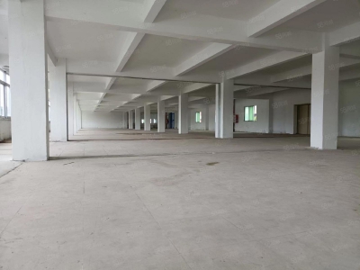 (出租) 江门鹤山雅瑶独院厂房水泥结构10元！图2