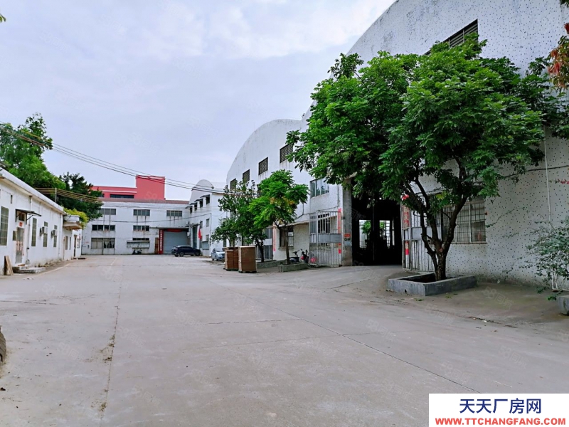 (出租) 江门园区占地约54亩园区总建筑面积约31,000方有行车牛角9米