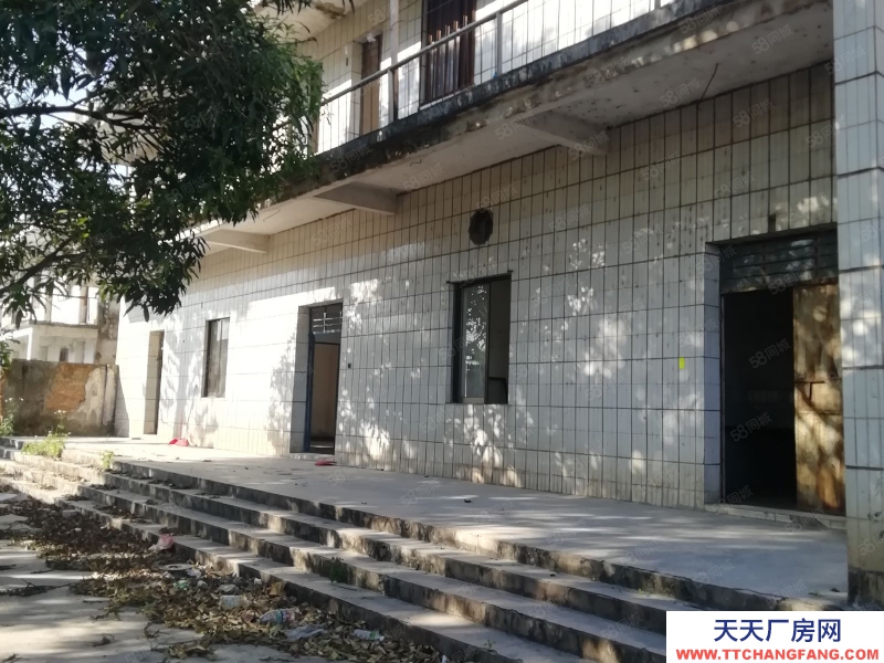 (出租) 江门恩平大量厂房仓库工业用地商服用地招租