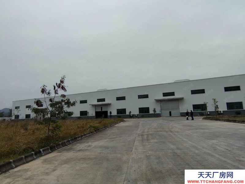 (出租) 江门恩平市大型钢架结构厂房招租，适合机械五金物流仓储等行业