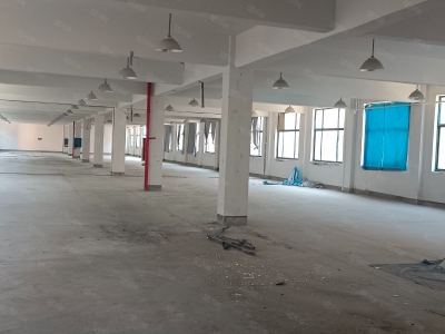 (出租) 超划算，出租练市独门独院单层10000方，院内11亩可建硬化图1