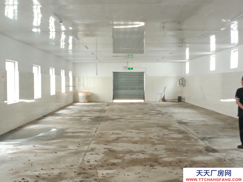 (出租) 超划算，出租练市独门独院单层10000方，院内11亩可建硬化