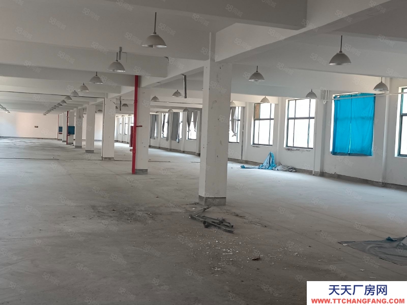 (出租) 超划算，出租练市独门独院单层10000方，院内11亩可建硬化