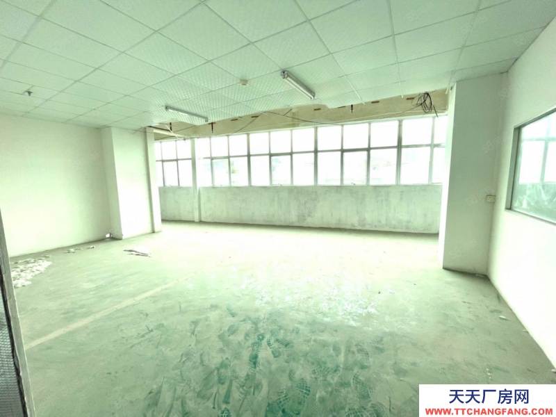 (出租) 江门蓬江农林E中心连锁办公品牌500平方起中小型面积仓储出租免佣