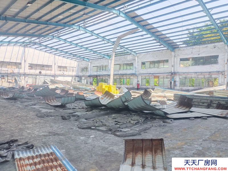 (出租) 江门蓬江龙湾路仓储商业场地200至4000平，邻近江门大道高速口