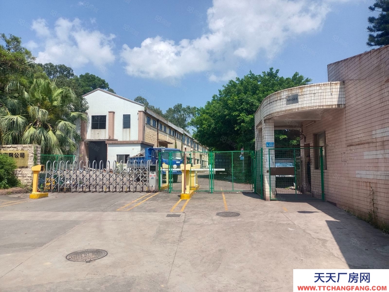 (出租) 江门蓬江龙湾路仓储商业场地200至4000平，邻近江门大道高速口