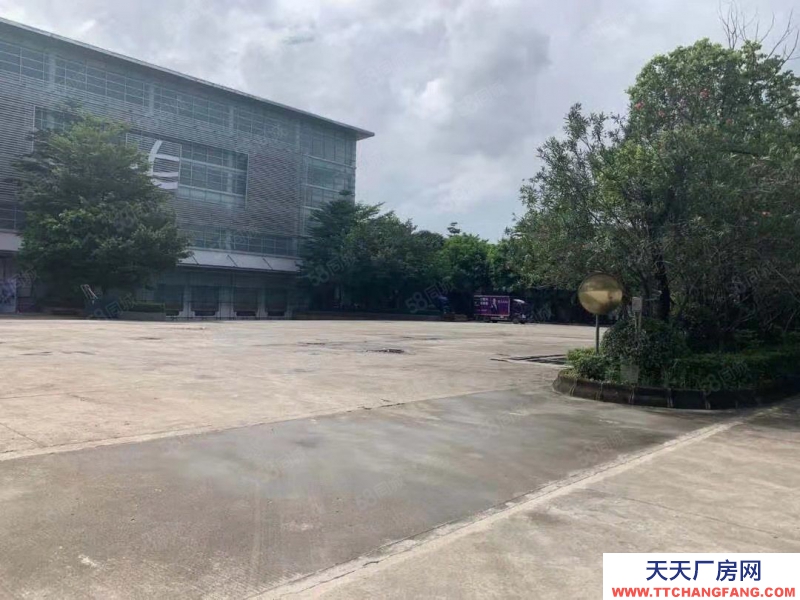 (出租) 江门江海区高新区6500平单一层仓库出厂房出租临时仓库出租可分租