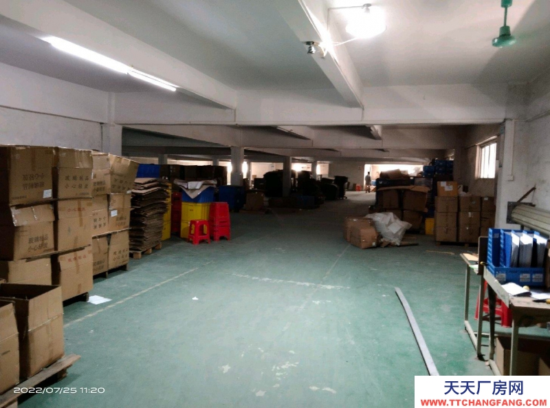 (出租) 江门江海简易厂房可以做仓库、车间，有电梯，直接对一手房东