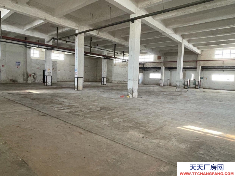 (出租) 江门新会三和大道1300平方仓库厂房，可分租
