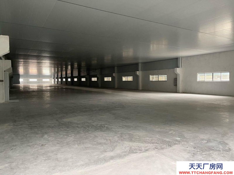 (出租) 江门新会可分割，小鸟天堂陈皮仓库出租活动价！一手新装修无装修异味