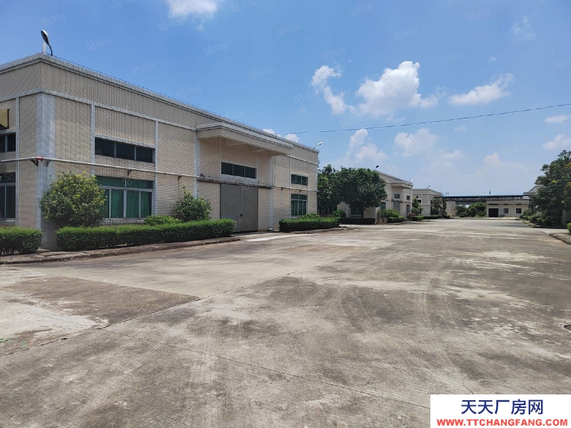 (出租) 江门台山台城标准仓库1000至5000平方出租，可分租