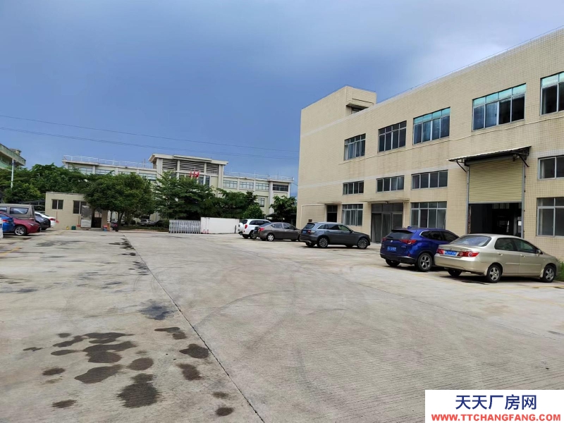(出租) 江门台山水步厂房仓库1000平方招租
