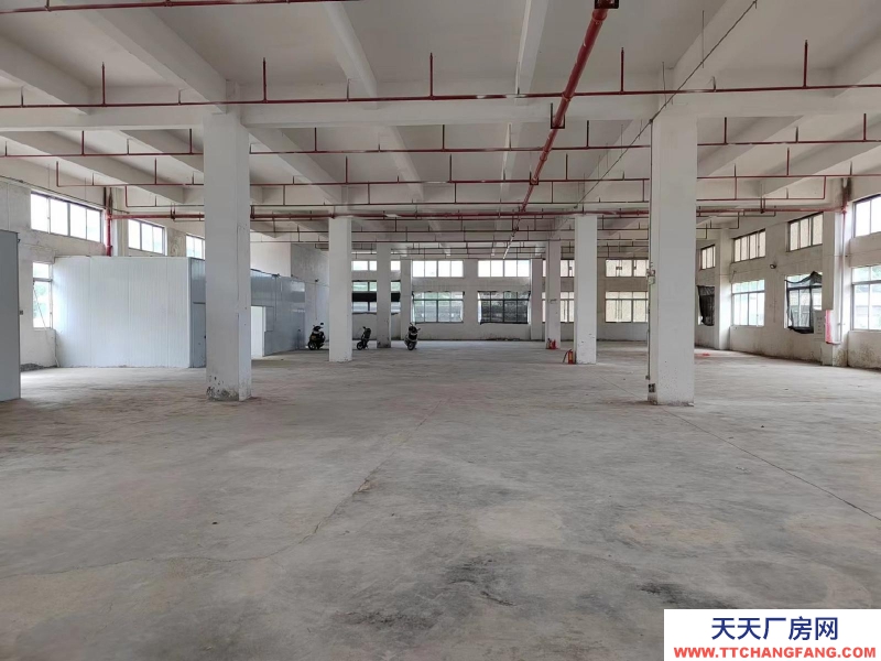 (出租) 江门台山水步厂房仓库1000平方招租