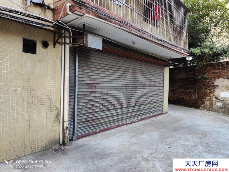 (出租) 江门台山位置在市区 价格便宜 可以面谈