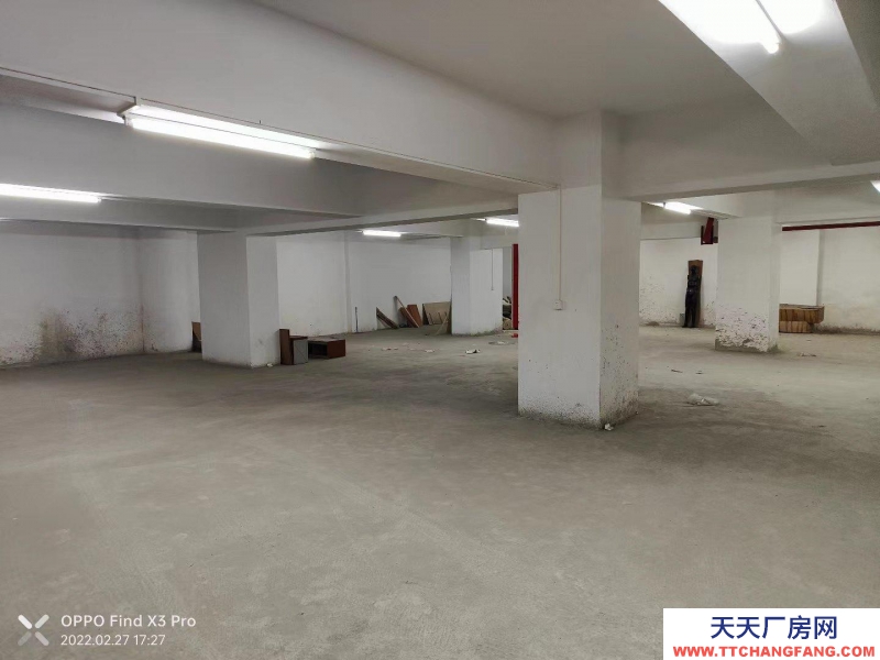 (出租) 江门台山位置在市区 价格便宜 可以面谈