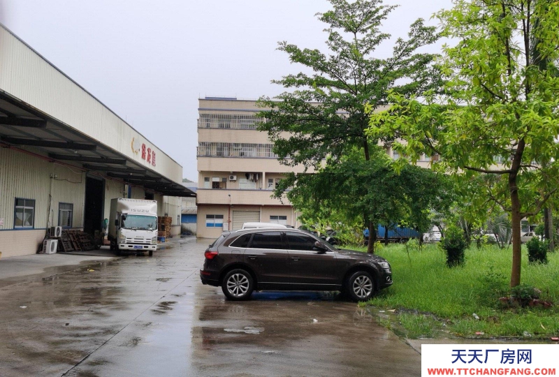 (出租) 江门开平环境优美，交通便利，地势高，不担心水浸