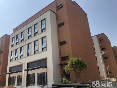 岳阳市云溪区 自贸区 岳阳城陵矶新港区 标准化厂房独栋办公楼出租出售图1