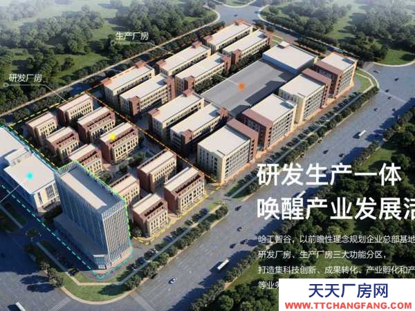 岳阳市云溪区 自贸区 岳阳城陵矶新港区 标准化厂房独栋办公楼出租出售