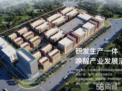 岳阳市云溪区 自贸区 岳阳城陵矶新港区 标准化厂房独栋办公楼出租出售图3