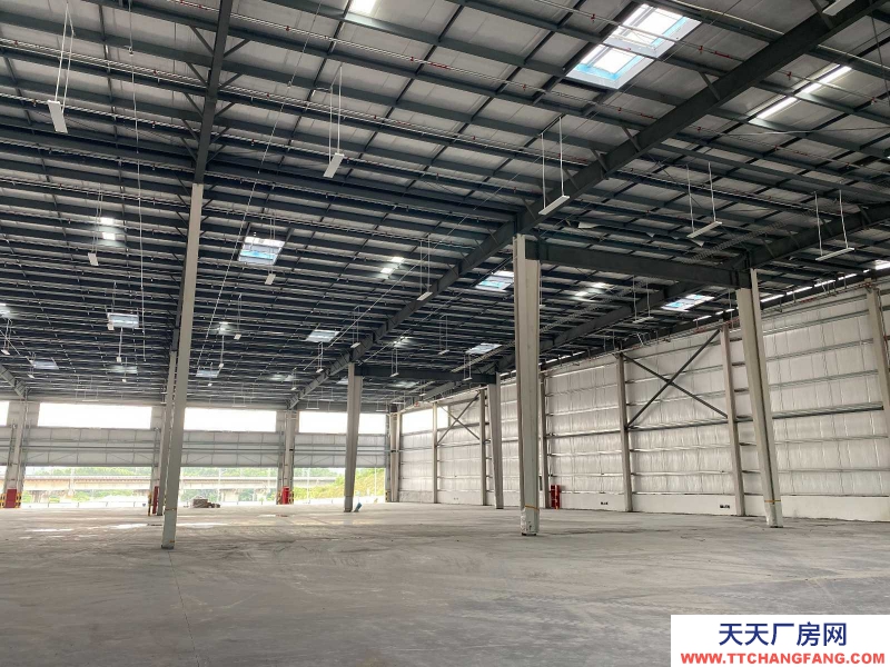 (出租) 江门鹤山桃源镇120000㎡单层及双层坡道丙二高台库